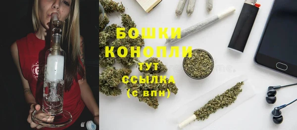 сатива Заволжск