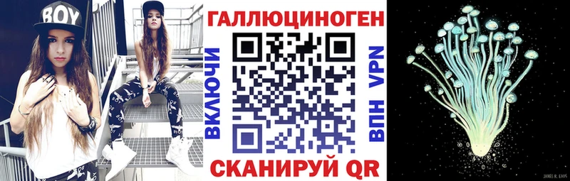 купить наркоту Ялта Псилоцибиновые грибы Psilocybe