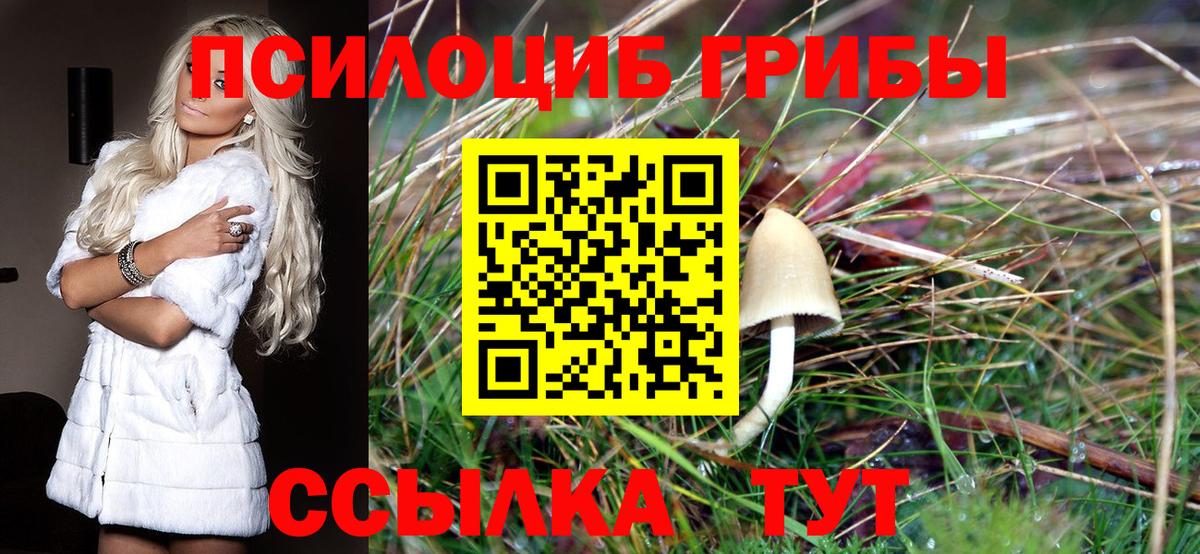 Ялта  Псилоцибиновые грибы Cubensis  Вход с VPN 