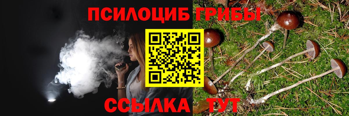 Псилоцибиновые грибы мицелий Ялта